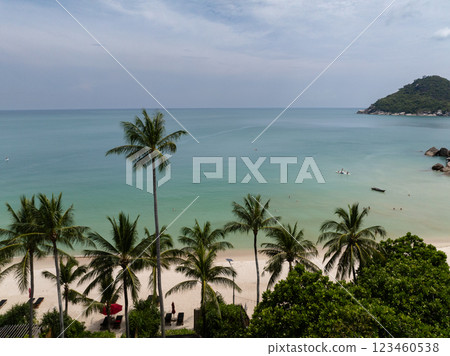 Palm trees on a white sand beach with turquoise water and a calm horizon under a cloudy sky. Ko Pha Ngan, Thailand. Palm trees on a white sand beach with turquoise water and a calm horizon under a cloudy sky. Ko Pha Ngan, Thailand. 123460538