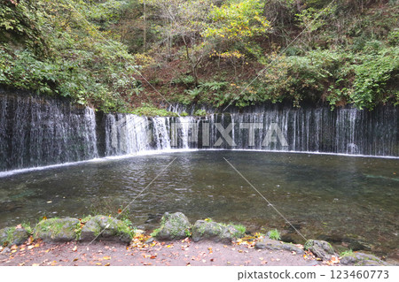 與Shiraito瀑布的風景 123460773