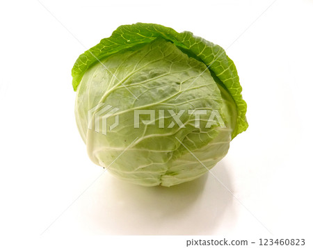 Fresh cabbage Fresh cabbage 123460823