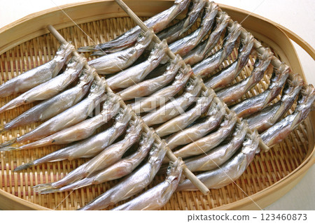 Shishamo shishamo, willow leaf fish, dried shishamo 123460873