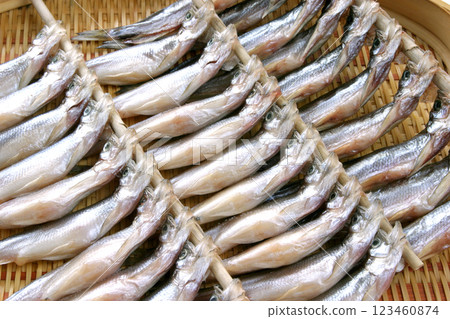 Shishamo shishamo, willow leaf fish, dried shishamo Shishamo shishamo, willow leaf fish, dried shishamo 123460874