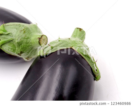 高知縣產茄子 4 高知縣產茄子 4 123460986