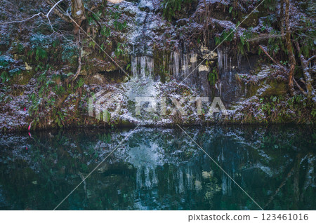 Icicles of Kumeji Gorge [Shinshu-Shinmachi, Nagano City] 123461016