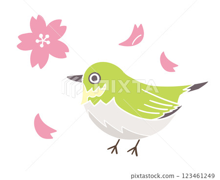 繡眼花和櫻花花瓣/春天的傳統/手繪向量插圖 123461249