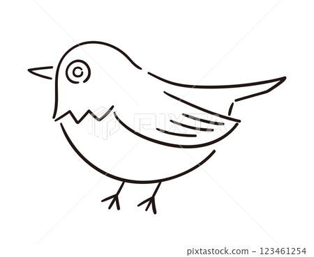 白眼/白眼/手繪向量線描插圖 白眼/白眼/手繪向量線描插圖 123461254