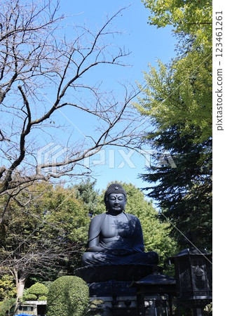 Tokyo Great Buddha in Akatsuka, Itabashi Ward, Tokyo Tokyo Great Buddha in Akatsuka, Itabashi Ward, Tokyo 123461261