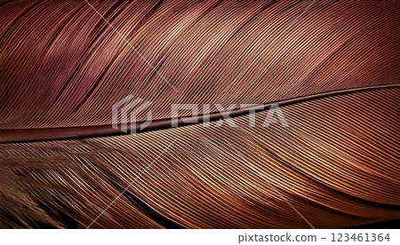 High-Resolution Macro Texture of a Bird Feather with Delicate Soft Fibers in Natural Brown and Golden Hues 123461364