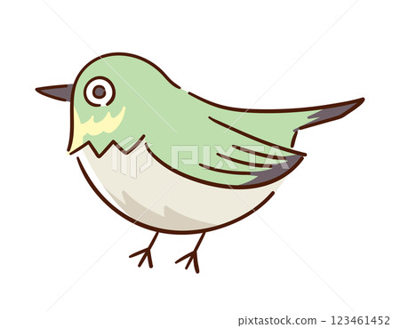 繡眼鳥 / 鳥 / 野鳥 / 手繪向量線描插圖 123461452