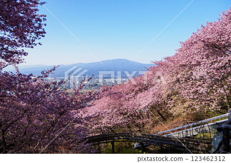 Mount Fuji in early spring from Mount Matsuda 123462312