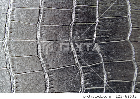 Close up of clear black crocodile skin background with customizable space for text. Wildlife concept 123462532