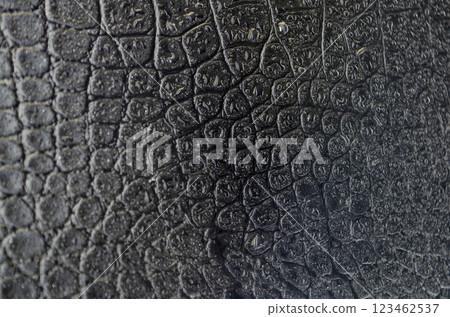 Rare wet black crocodile skin background with customizable space for text or for mockup 123462537