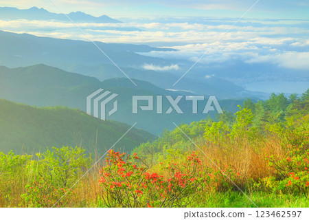 Sea of clouds, Lake Suwa, Yatsugatake, and Renge Azalea [taken from Takabocchi Plateau] 123462597