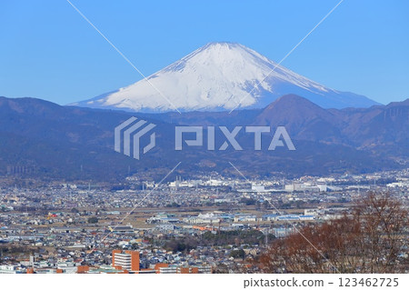 Odawara City, Soga Plum Grove, Mount Fuji and the plum grove from the observation deck 123462725