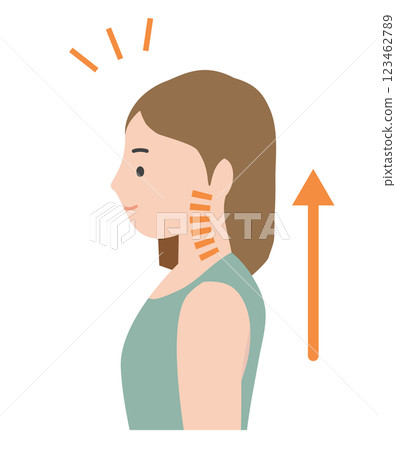 Illustration of a woman with good posture and ideal cervical curve 123462789