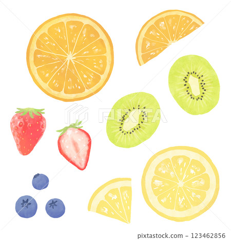 水果的插圖 123462856