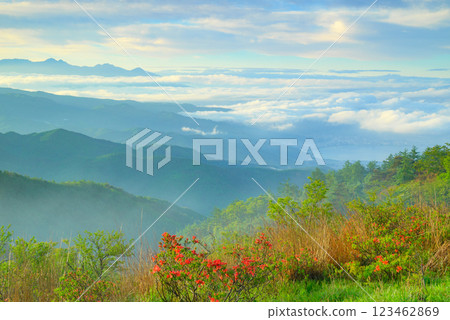 雲海、諏訪湖、八岳、蓮華杜鵑[自高木崎高原拍攝] 123462869