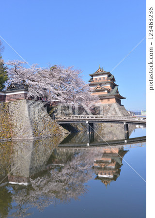 高島城和佐久Su訪市長野縣 123463236