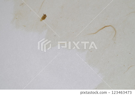 使用不同種類和紙張的協作[背景資料] 123463473