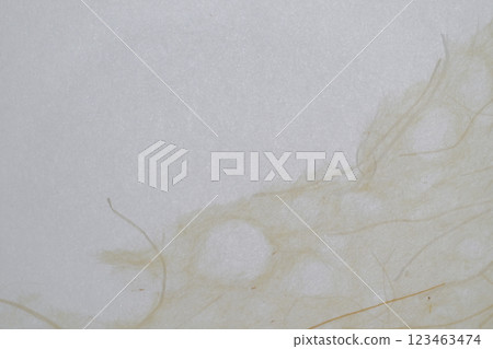 Collaboration of different types of washi paper [Background material] 123463474