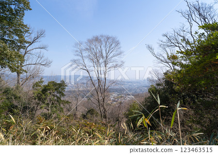 從阿布山高槻市瞭望台望去的景色（大阪府茨城縣） 123463515