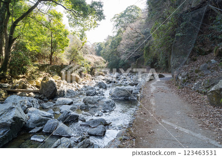 Settsu Gorge 123463531