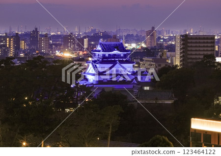 岡崎市，夜晚點亮的岡崎城和岡崎市景 123464122