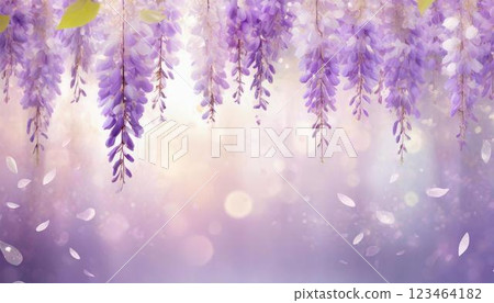 一幅描繪盛開的紫藤花在紫藤架上搖曳，花瓣在淡紫色的閃亮背景上飄落的插圖 123464182