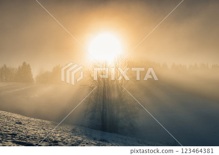 Snowy winter landscape in a misty sunny morning. The Orava region in north of Slovakia, Europe. 123464381