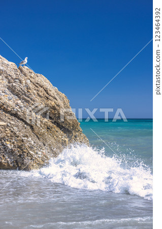 Nerja town, a resort of The Costa del Sol seaside region in Andalusia in the south of Spain. Seagull perched on coastal rock, waves crashing against the shore. Stunning blue ocean under a clear sky. 123464392