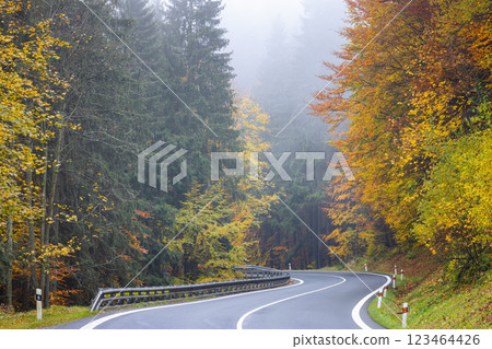 A winding road through a colored forest in a foggy autumn landscape. 123464426