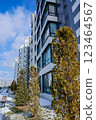 Side view of a multi-storey residential building of modern architecture with large windows against the background of the sky with clouds, the house is lined with white and gray slabs, coniferous 123464567