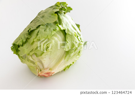 白桌上的生菜 白桌上的生菜 123464724