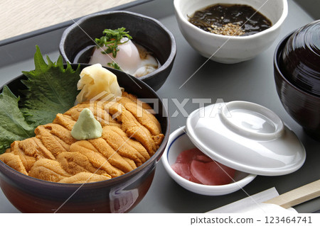 Sea urchin rice bowl Sea urchin rice bowl Sea urchin rice bowl 123464741