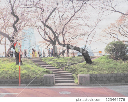 The bank of the moat and rows of cherry blossom trees. A pixelated photo. 123464776