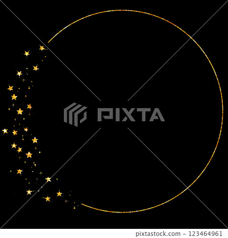 金銀絲閃光_frame_circle 金銀絲閃光_frame_circle 123464961
