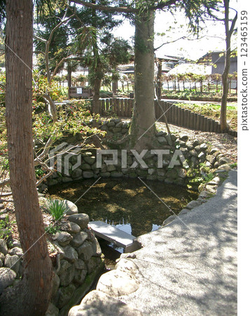 Rokugo Springs (Kyapekoshimizu) 123465159