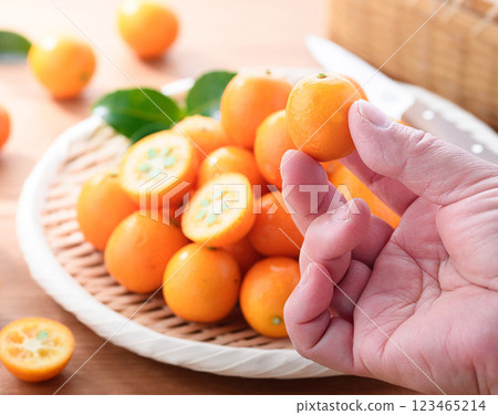 宮崎縣金橘（木紋背景） 123465214