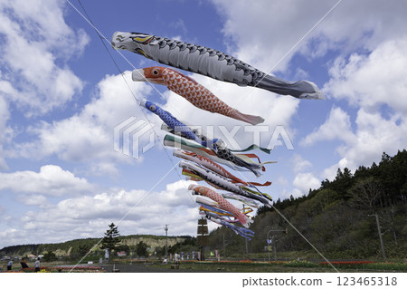 鯉魚stream在藍藍的天空中游泳 123465318