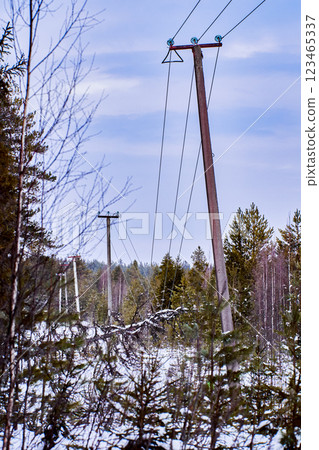 Wind felled dry tree onto high voltage lines brings conductors near ground posing substantial electrocution threat particularly for animals humans in wet environment near electrical system. Wind felled dry tree onto high voltage lines brings conductors near ground posing substantial electrocution threat particularly for animals humans in wet environment near electrical system. 123465337