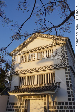 Kurashiki Bikan Historical Quarter: Evening view 123465348