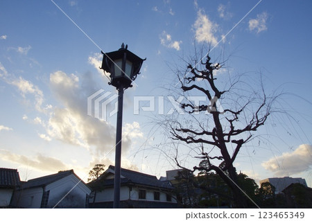 Kurashiki Bikan Historical Quarter: Evening view 123465349