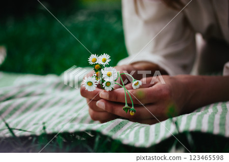 A bouquet of white summertime daisies in female hands view from above. A woman lying on striped plaid with a bunch of wildflowers. Relaxing outdoors.  123465598