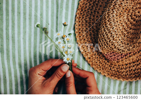 A bouquet of white summertime daisies in female hands view from above. A woman lying on striped plaid with a bunch of wildflowers. Straw female sunhat 123465600
