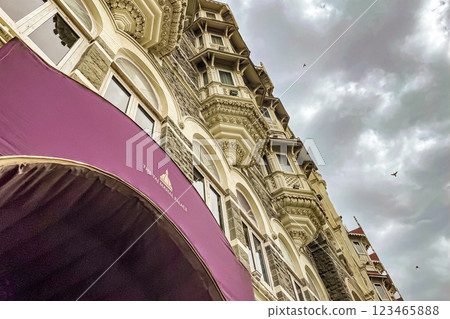 泰姬陵宮殿的宏偉外觀和哥德式建築之美 123465888