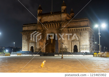 India Gate and dog at night 123465902