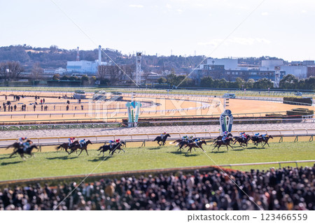 Racehorses running at Tokyo Racecourse Racehorses running at Tokyo Racecourse 123466559