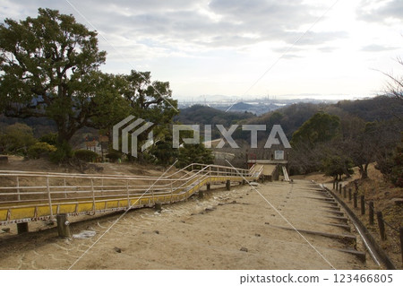 種鬆山公園西庭園：臘梅季節、冬季 123466805