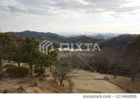 種鬆山公園西庭園:臘梅季節、冬季 種鬆山公園西庭園:臘梅季節、冬季 123466806