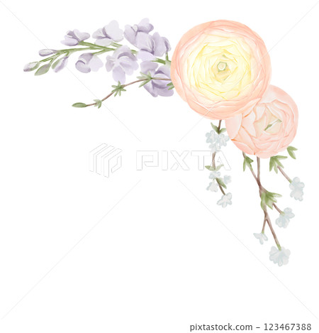 Corner Bouquet of Ranunculus Flowers with Freesia and Snow Willow Branches. Watercolor Hand drawn Spring floral illustration in pastel colors isolated on white background. Botanical art for Corner Bouquet of Ranunculus Flowers with Freesia and Snow Willow Branches. Watercolor Hand drawn Spring floral illustration in pastel colors isolated on white background. Botanical art for 123467388
