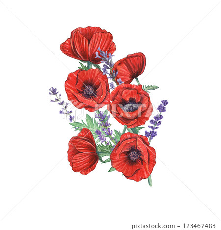 Bouquet of watercolor red poppies and lavender branches on a white background. Illustration of botanical plants. Provencal flowers. Suitable for postcards, wedding invitations, branding, prints. 123467483